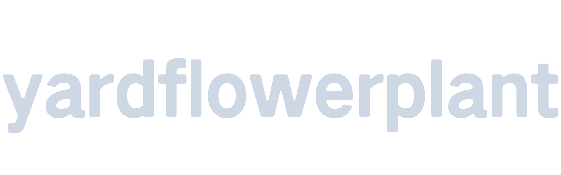 Shark Tooth Orchid Cactus 3